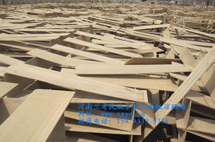 誠招琵琶代理 河南蘭考民族樂器廠產品詳情及合作機會